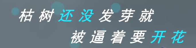 【免费】多色双排动画，歌词排版模板。