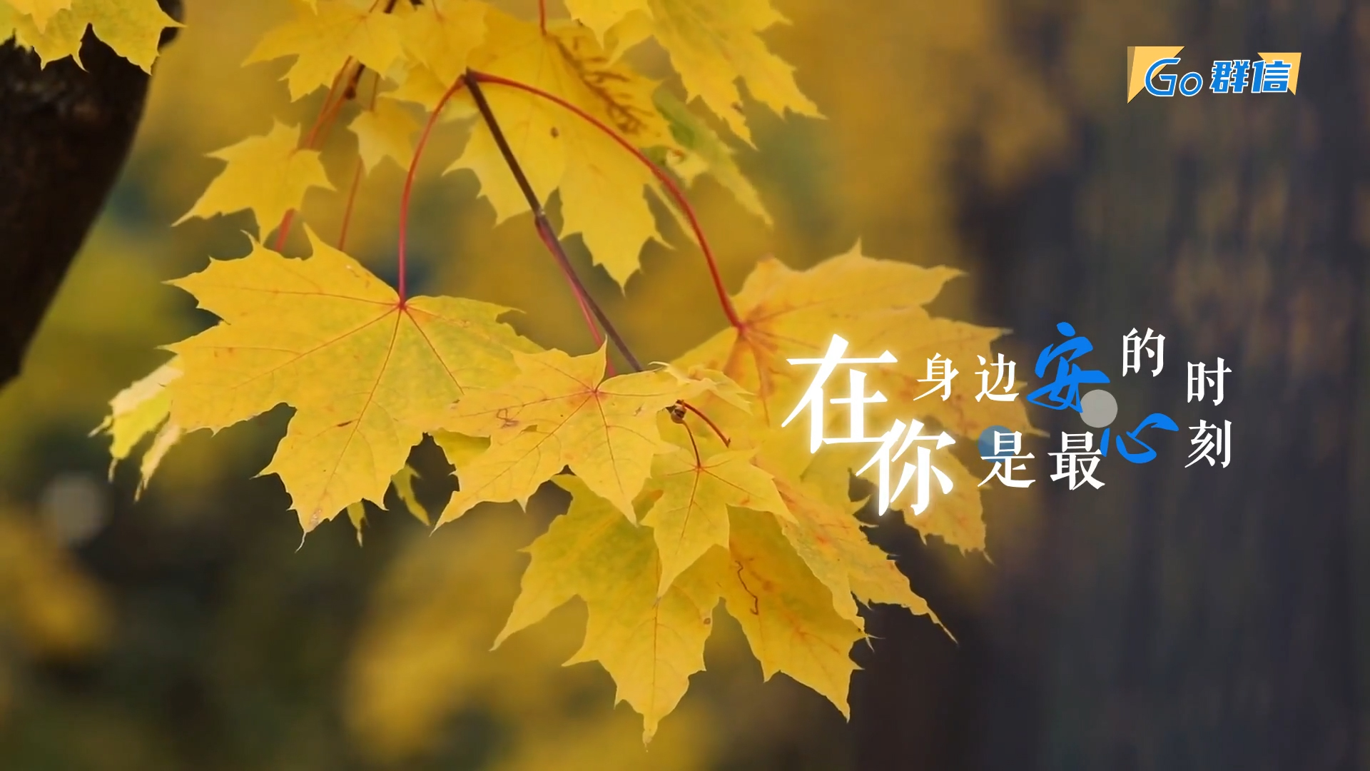 粉丝免费，歌词排版模板，重生之火2 静态/卡拉